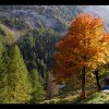 20151011_0180